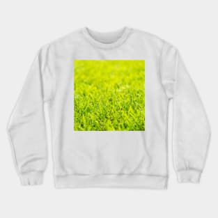 Dew Drops On Green Grass Crewneck Sweatshirt